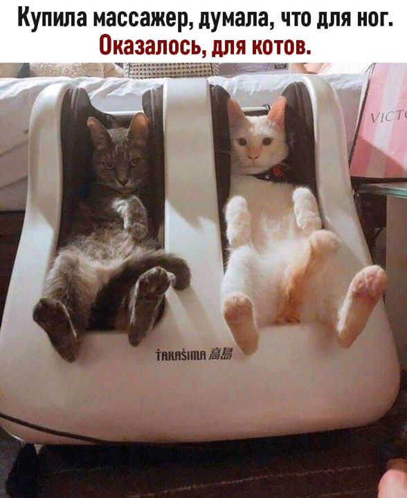 http://upforme.ru/uploads/0004/02/e8/1734/t527192.jpg