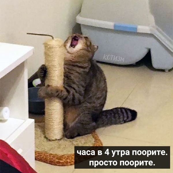 http://upforme.ru/uploads/0004/02/e8/1734/t54692.jpg