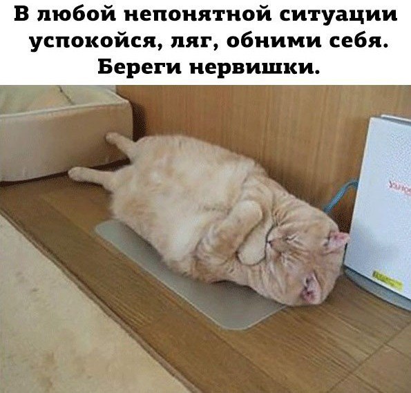 http://upforme.ru/uploads/0004/02/e8/1734/t54920.jpg