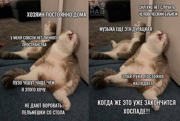 http://upforme.ru/uploads/0004/02/e8/1734/t549859.jpg