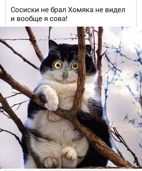 http://upforme.ru/uploads/0004/02/e8/1734/t55294.jpg
