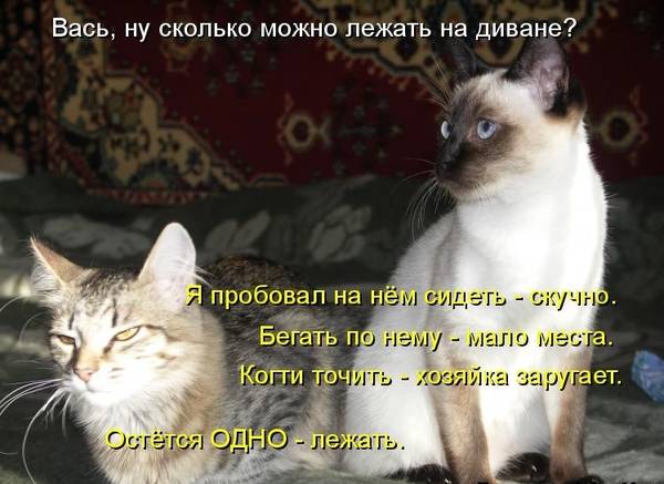 http://upforme.ru/uploads/0004/02/e8/1734/t556776.jpg
