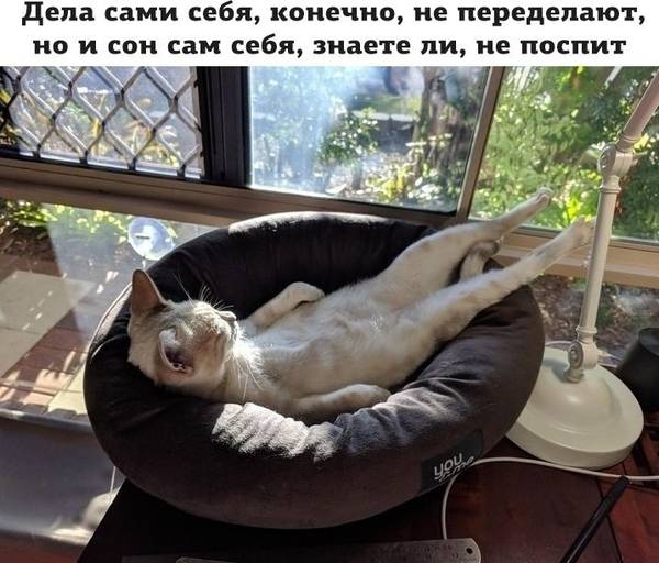 http://upforme.ru/uploads/0004/02/e8/1734/t55733.jpg