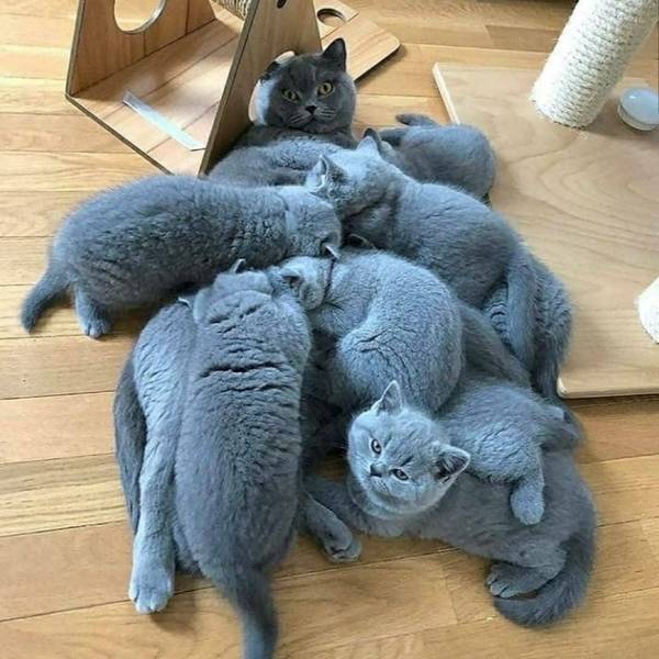 http://upforme.ru/uploads/0004/02/e8/1734/t56020.jpg