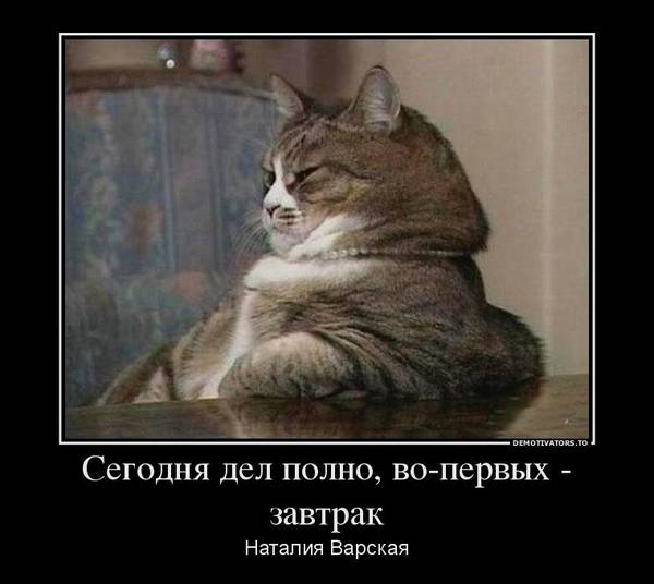 http://upforme.ru/uploads/0004/02/e8/1734/t561164.jpg