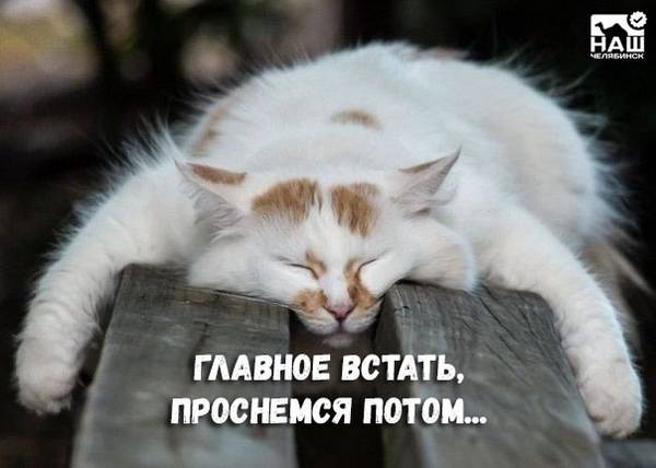 http://upforme.ru/uploads/0004/02/e8/1734/t56577.jpg