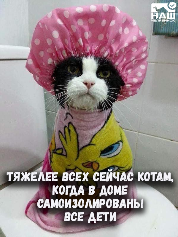 http://upforme.ru/uploads/0004/02/e8/1734/t568907.jpg