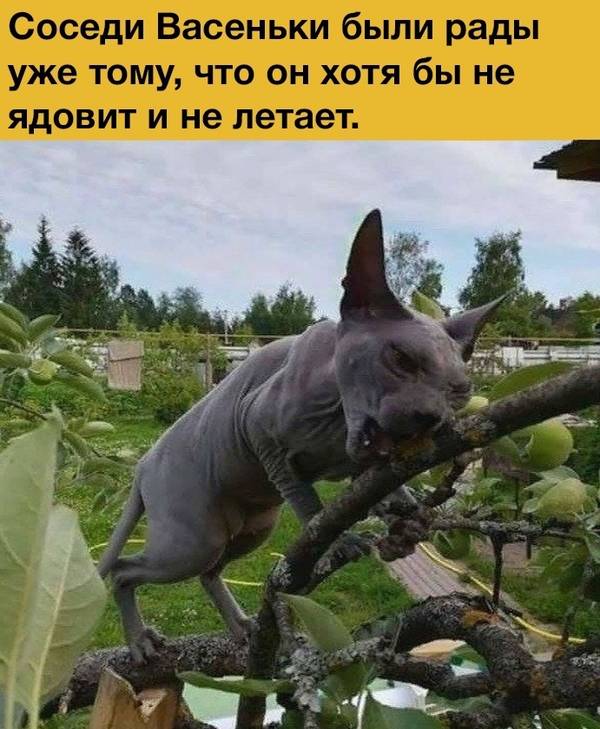 http://upforme.ru/uploads/0004/02/e8/1734/t570840.jpg