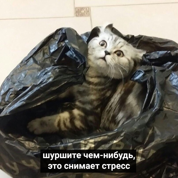 http://upforme.ru/uploads/0004/02/e8/1734/t57741.jpg