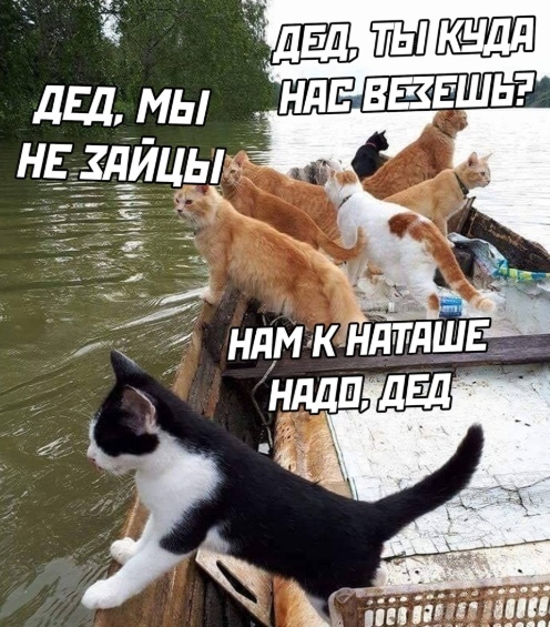 http://upforme.ru/uploads/0004/02/e8/1734/t579793.jpg