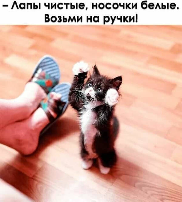 http://upforme.ru/uploads/0004/02/e8/1734/t58413.jpg