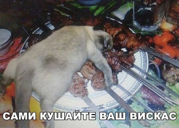http://upforme.ru/uploads/0004/02/e8/1734/t58510.jpg