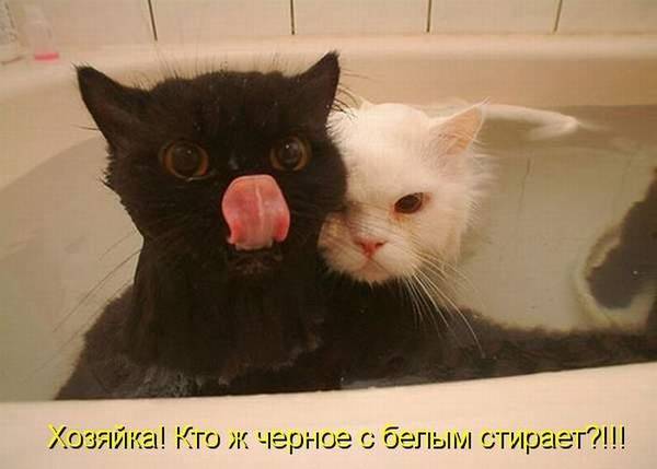 http://upforme.ru/uploads/0004/02/e8/1734/t59239.jpg