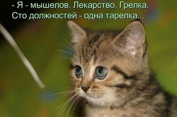 http://upforme.ru/uploads/0004/02/e8/1734/t593664.jpg