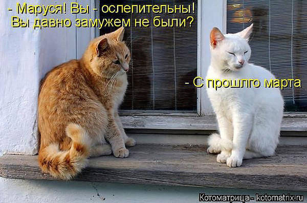 http://upforme.ru/uploads/0004/02/e8/1734/t59562.jpg