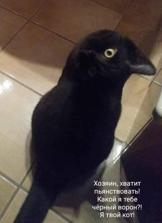http://upforme.ru/uploads/0004/02/e8/1734/t59933.jpg