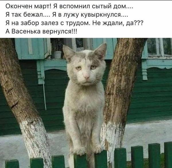http://upforme.ru/uploads/0004/02/e8/1734/t60632.jpg