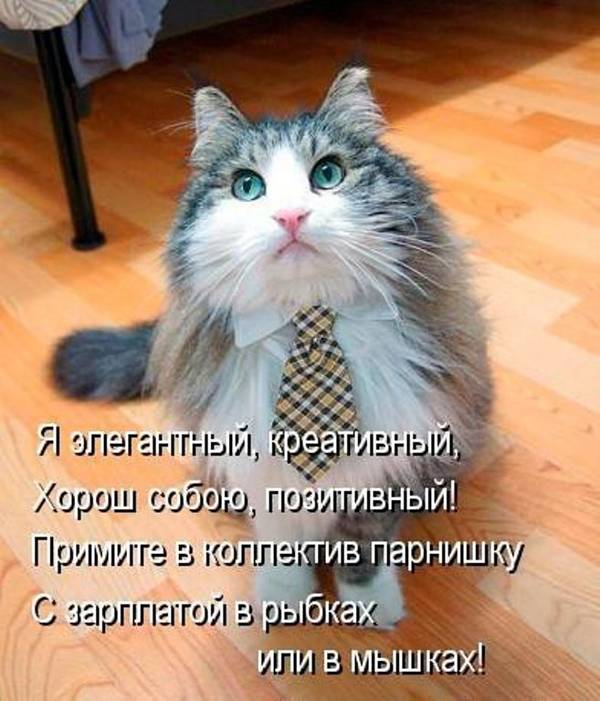 http://upforme.ru/uploads/0004/02/e8/1734/t61177.jpg