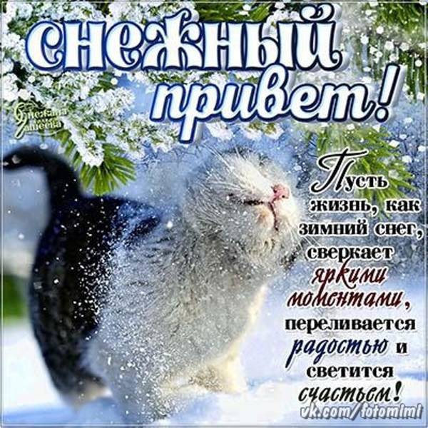 http://upforme.ru/uploads/0004/02/e8/1734/t61946.jpg