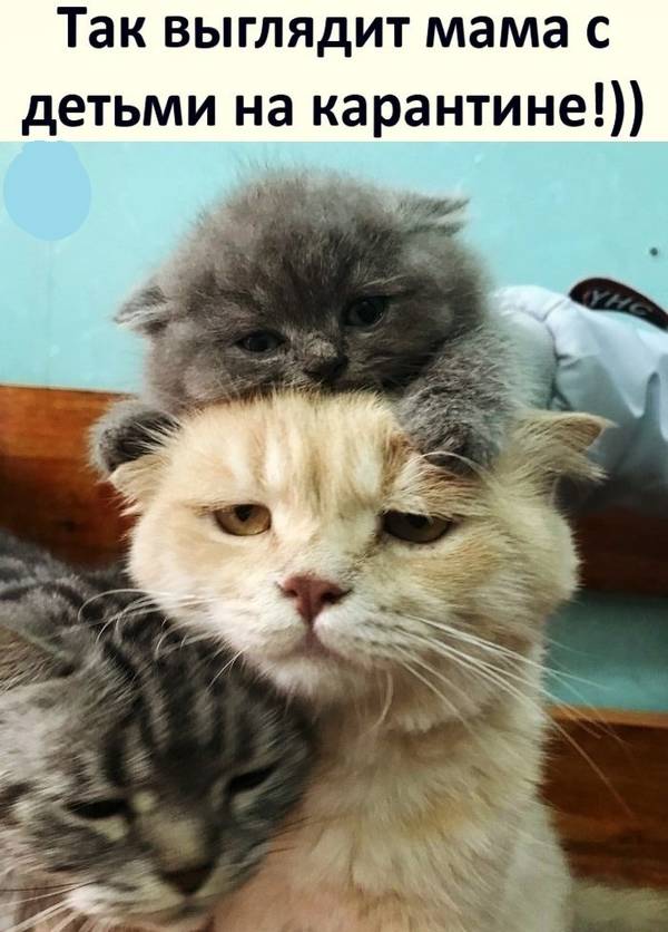 http://upforme.ru/uploads/0004/02/e8/1734/t620940.jpg