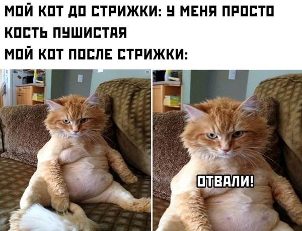 http://upforme.ru/uploads/0004/02/e8/1734/t62353.jpg
