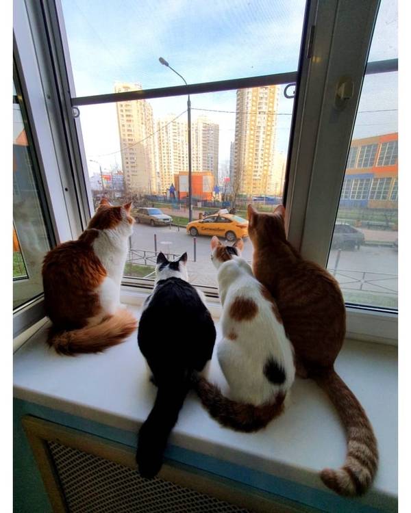 http://upforme.ru/uploads/0004/02/e8/1734/t64391.jpg