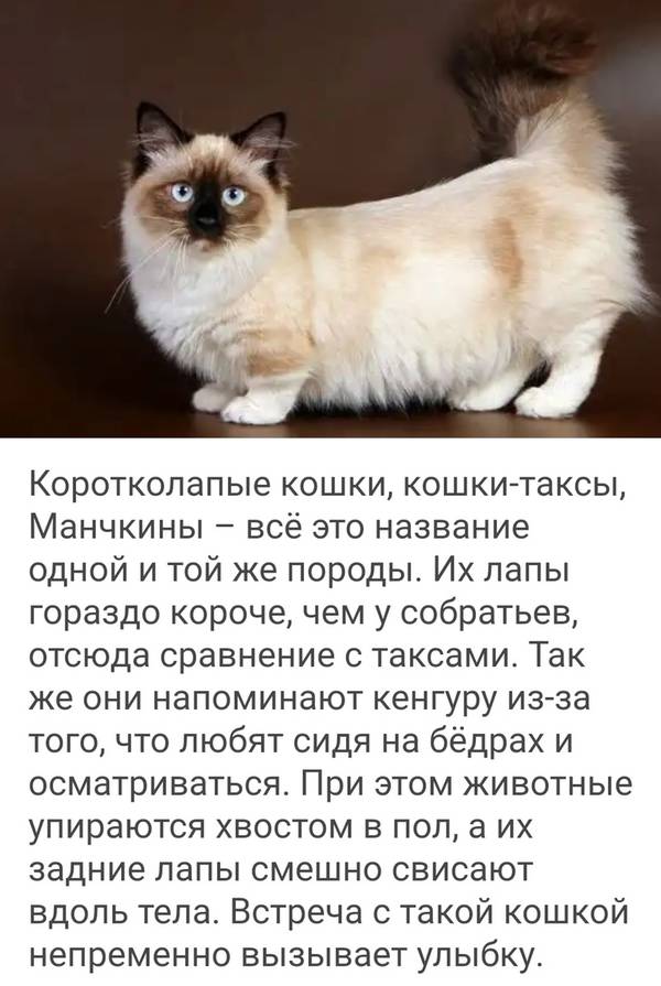 http://upforme.ru/uploads/0004/02/e8/1734/t64732.jpg