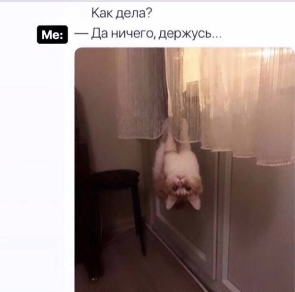 http://upforme.ru/uploads/0004/02/e8/1734/t65000.jpg