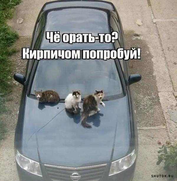 http://upforme.ru/uploads/0004/02/e8/1734/t653094.jpg