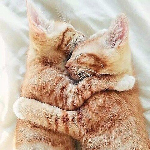 http://upforme.ru/uploads/0004/02/e8/1734/t65335.jpg