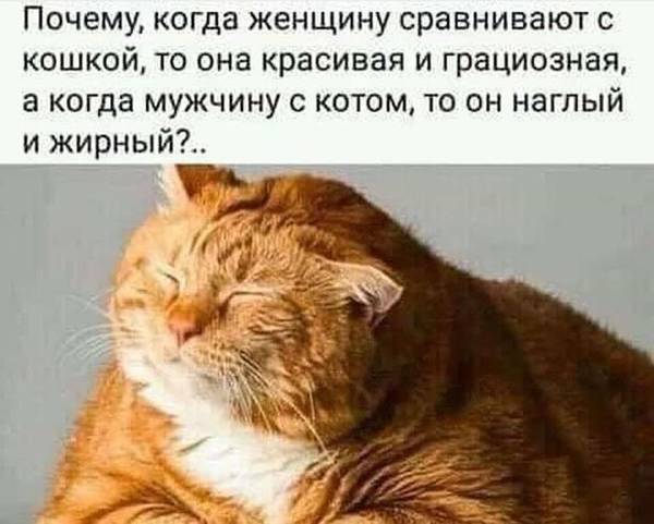 http://upforme.ru/uploads/0004/02/e8/1734/t65462.jpg