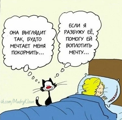 http://upforme.ru/uploads/0004/02/e8/1734/t65732.jpg