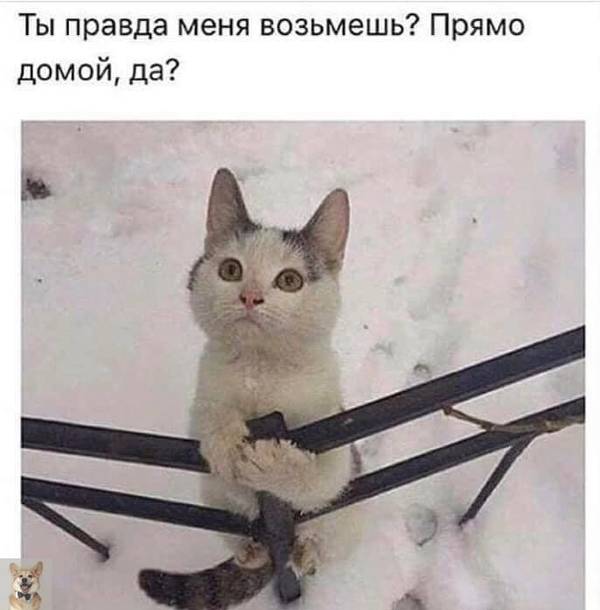 http://upforme.ru/uploads/0004/02/e8/1734/t657581.jpg