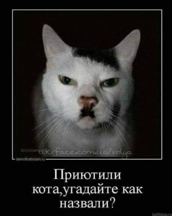 http://upforme.ru/uploads/0004/02/e8/1734/t659033.jpg