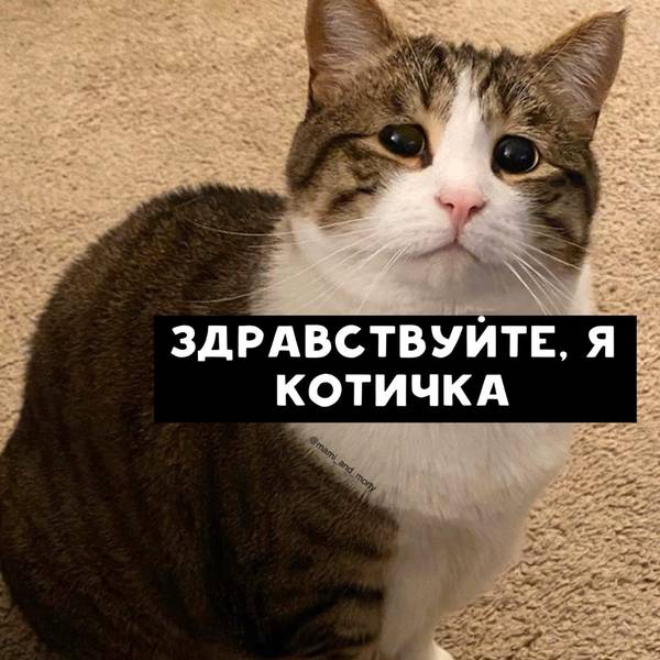 http://upforme.ru/uploads/0004/02/e8/1734/t66459.jpg