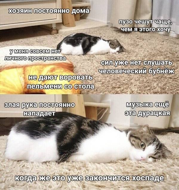 http://upforme.ru/uploads/0004/02/e8/1734/t66780.jpg