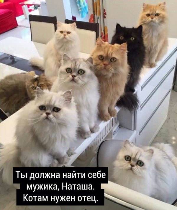 http://upforme.ru/uploads/0004/02/e8/1734/t668187.jpg