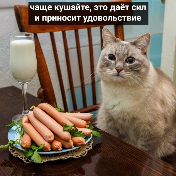 http://upforme.ru/uploads/0004/02/e8/1734/t66964.jpg