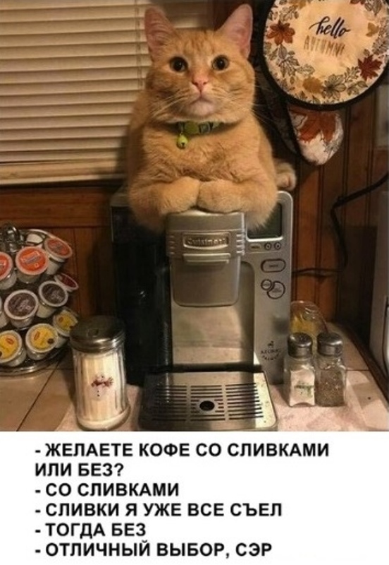 http://upforme.ru/uploads/0004/02/e8/1734/t67303.jpg