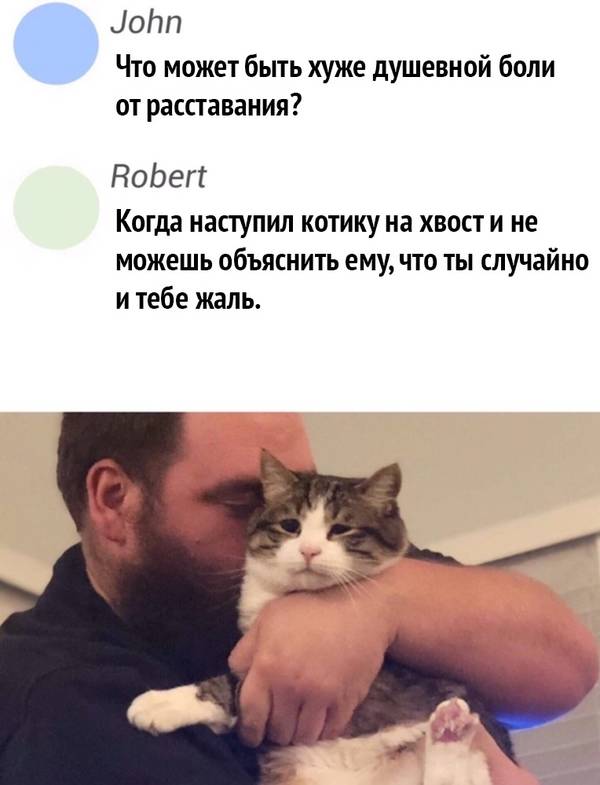 http://upforme.ru/uploads/0004/02/e8/1734/t67950.jpg