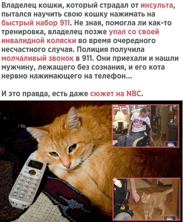 http://upforme.ru/uploads/0004/02/e8/1734/t68514.jpg