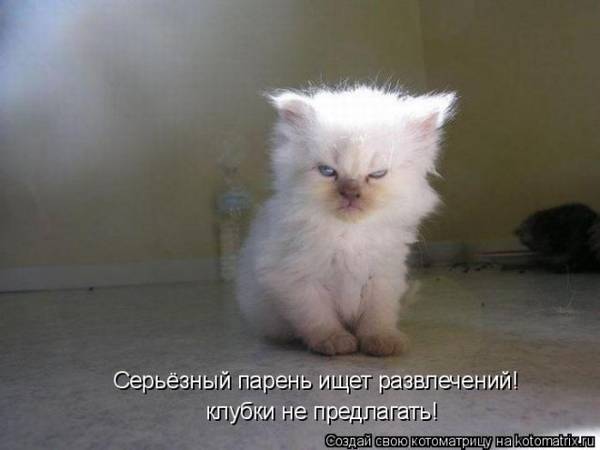 http://upforme.ru/uploads/0004/02/e8/1734/t68689.jpg
