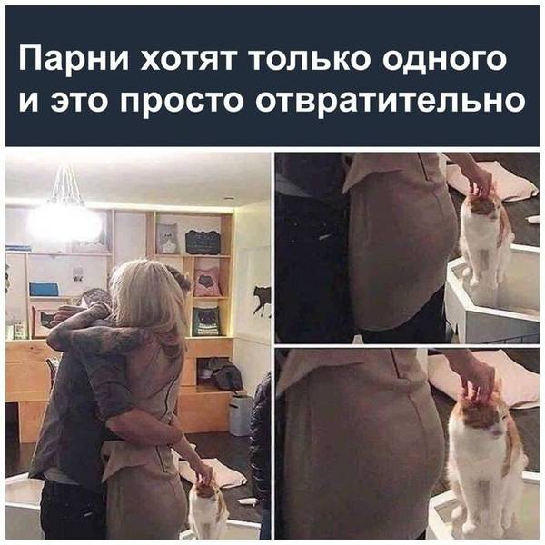 http://upforme.ru/uploads/0004/02/e8/1734/t694041.jpg