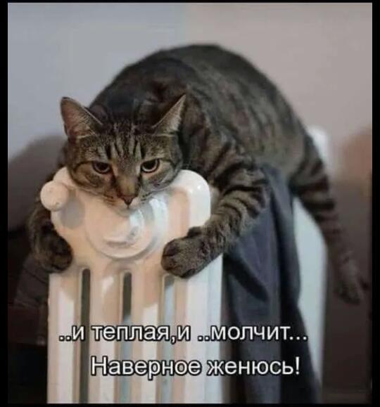 http://upforme.ru/uploads/0004/02/e8/1734/t70344.jpg