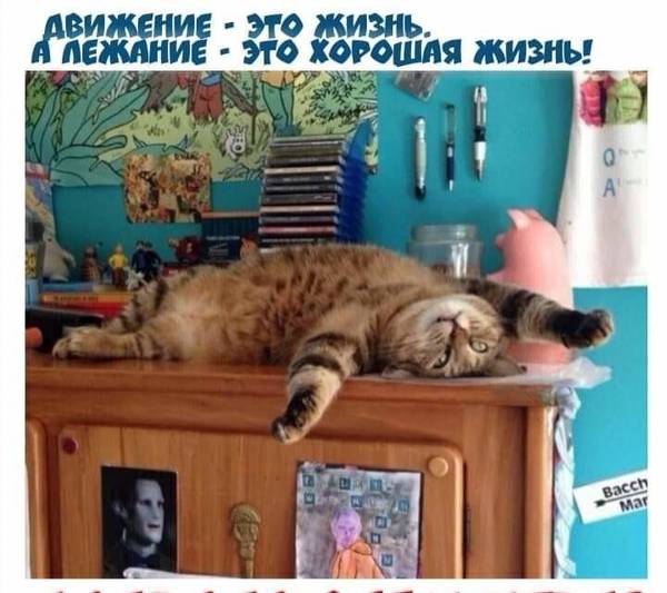 http://upforme.ru/uploads/0004/02/e8/1734/t71356.jpg