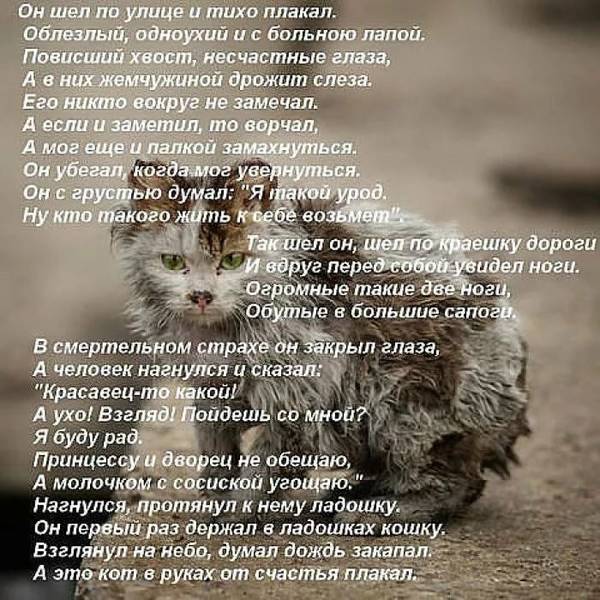 http://upforme.ru/uploads/0004/02/e8/1734/t71471.jpg