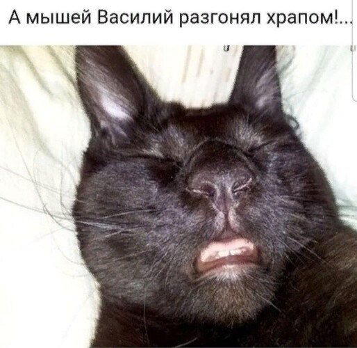http://upforme.ru/uploads/0004/02/e8/1734/t71645.jpg