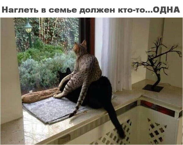 http://upforme.ru/uploads/0004/02/e8/1734/t72450.jpg