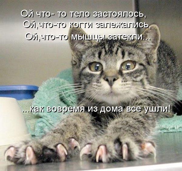 http://upforme.ru/uploads/0004/02/e8/1734/t72863.jpg
