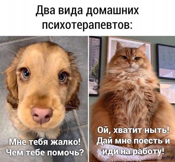 http://upforme.ru/uploads/0004/02/e8/1734/t73343.jpg